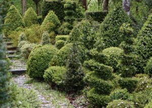 Hedge Trimmers