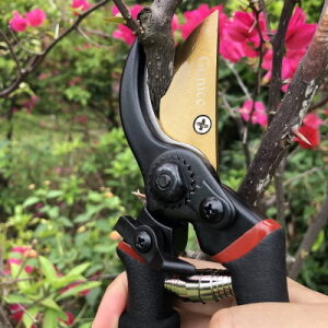 Tree Trimmers